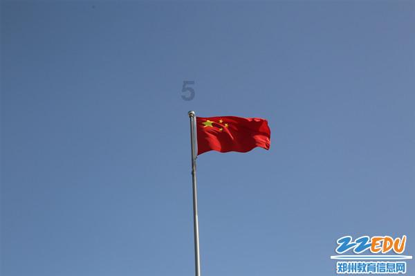 动物帮帮忙保卫家园
